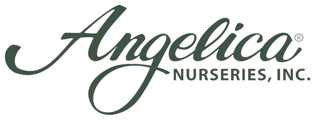 Angelica Nurseries, Inc.